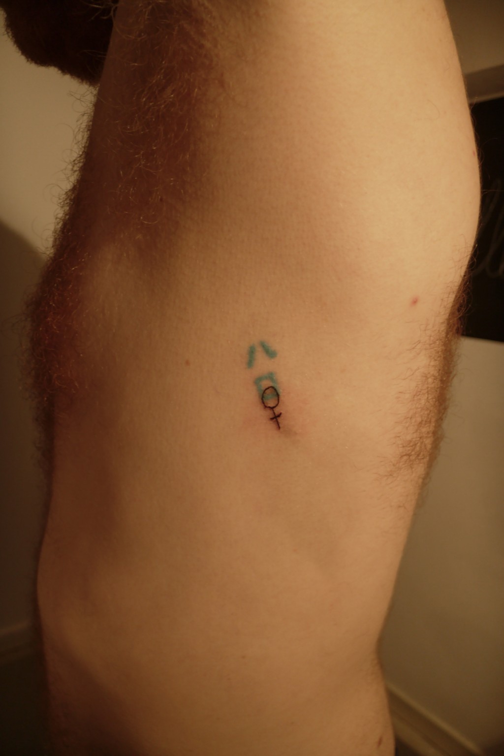 Vera Hofmann We keep losing our spaces Copy