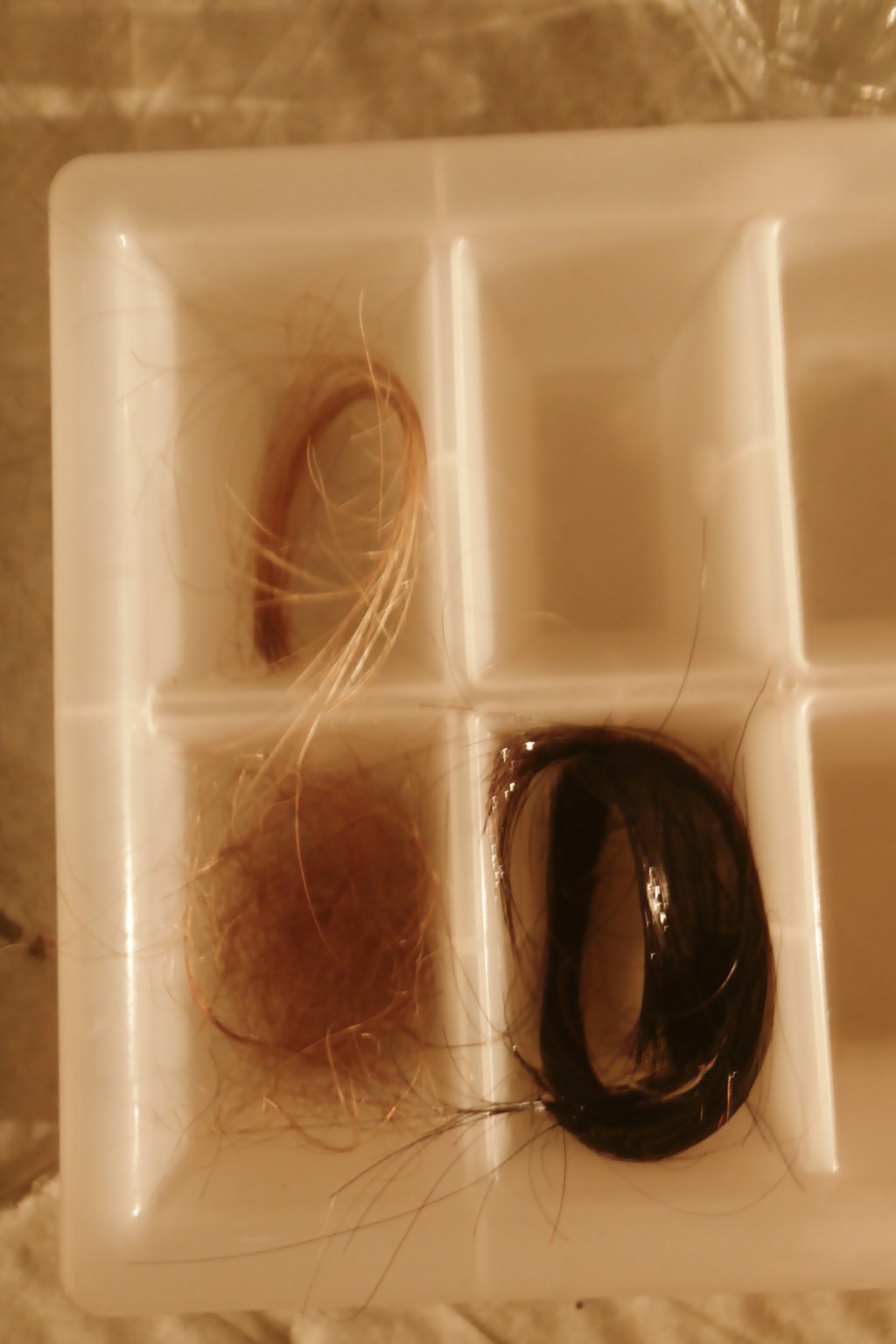 Vera Hofmann We keep losing our spaces Copy